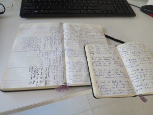 My notebooks. Moleskine. I use the little one for to-do lists, jotting down story ideas and reporting. I use the larger one to write out drafts, diagram article structures, and make long-term plans. And make notes obvs. 