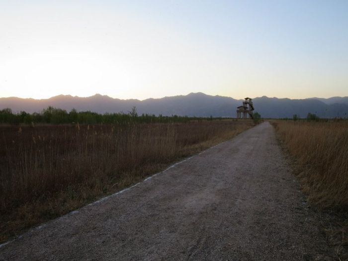 11169919_10152715231646333_8135313517317626805_n