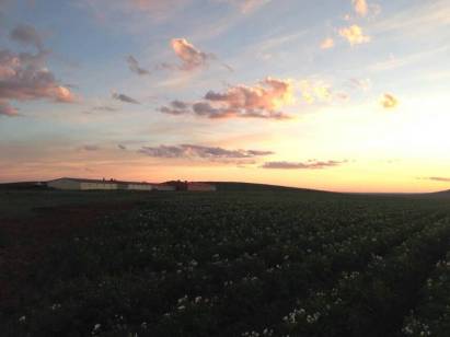 mmexport1438084470614[1]