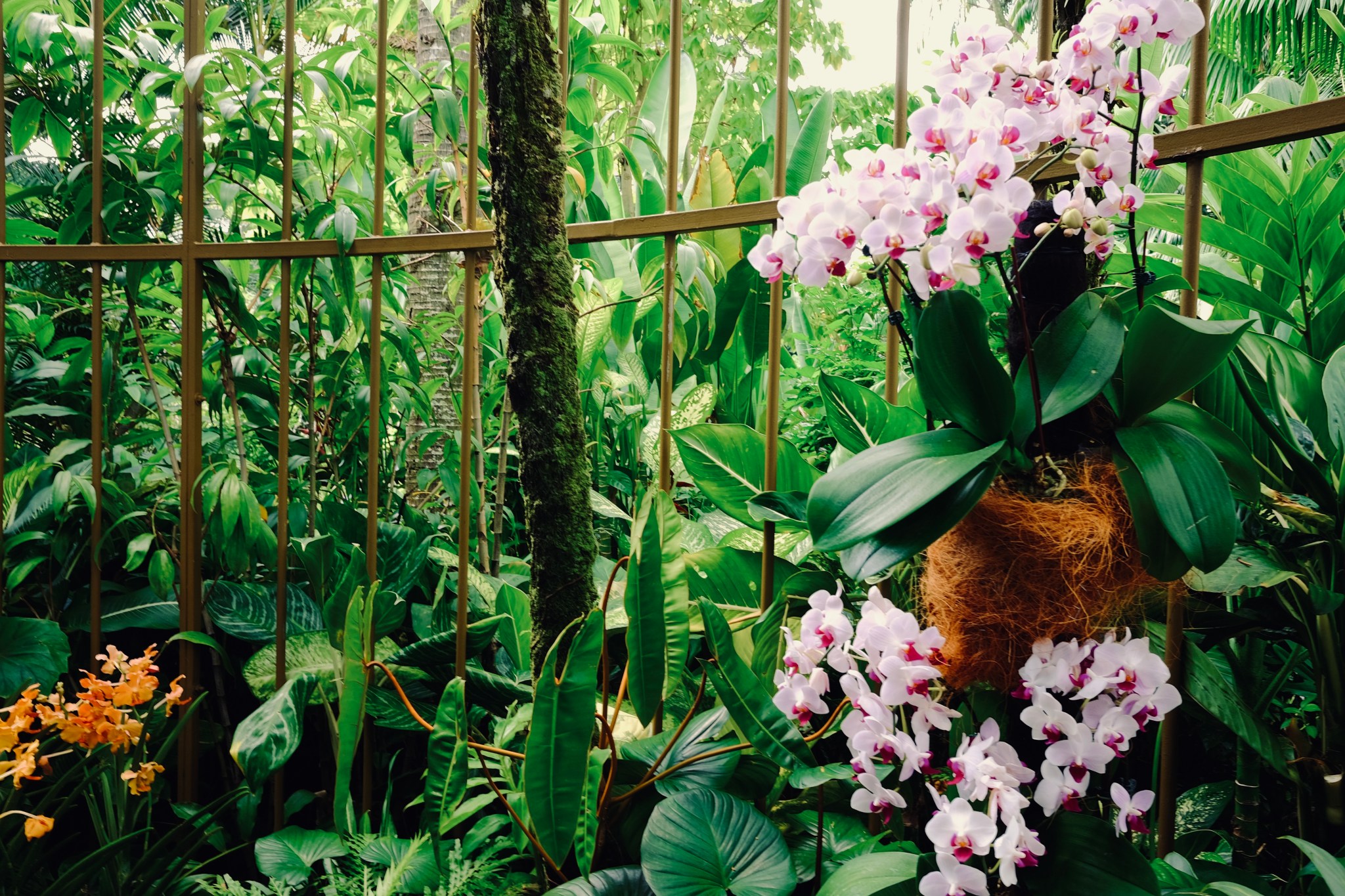 05697366-401e-4806-9a91-57f27b1a01ed-12072-00000def36b6f68a