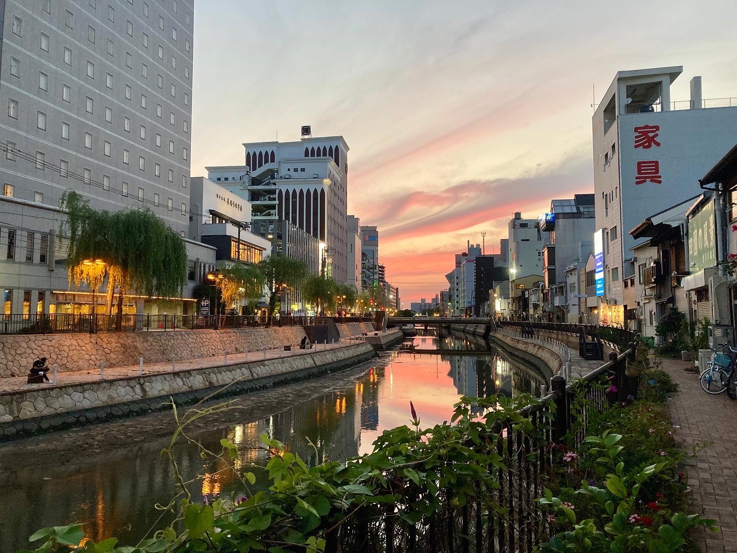 8ae6f9d2-3e14-45dc-bfc7-1640cd412b43